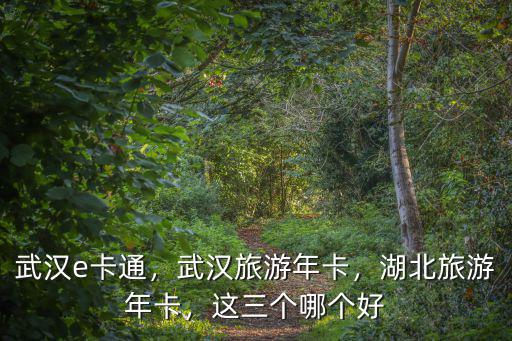 兒童怎么辦武漢旅游e卡,武漢旅游年卡