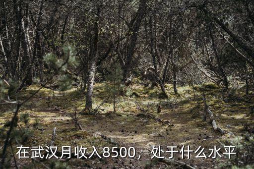 在武漢月收入8500，處于什么水平