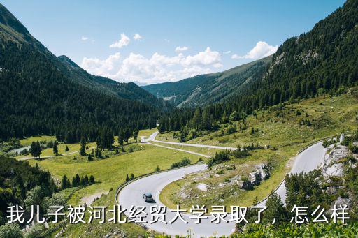 我兒子被河北經貿大學錄取了，怎么樣