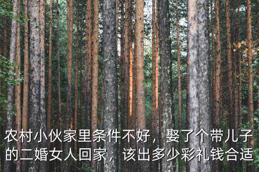 合肥離異姑娘給多少彩禮合適,該出多少彩禮錢合適