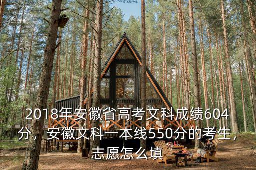 2018年安徽省高考文科成績604分，安徽文科一本線550分的考生，志愿怎么填