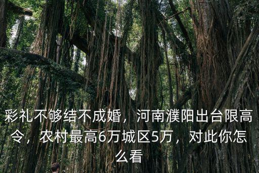 濮陽彩禮怎么定,河南濮陽出臺彩禮新規
