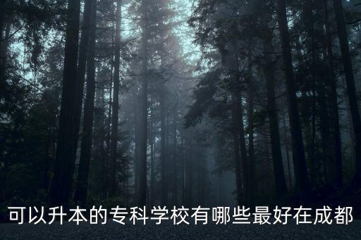 可以升本的專科學校有哪些最好在成都
