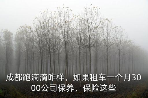 成都跑滴滴咋樣，如果租車一個月3000公司保養，保險這些