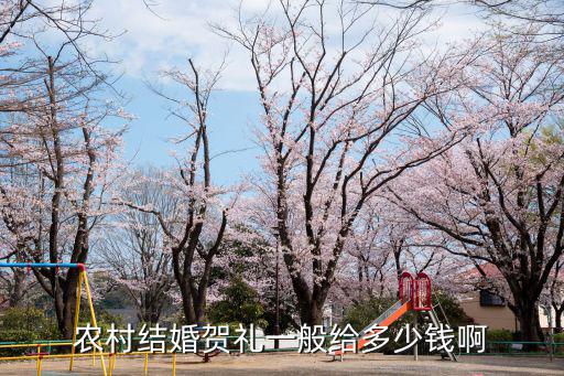 亳州酒店結(jié)婚得多少錢(qián),農(nóng)村結(jié)婚賀禮一般給多少錢(qián)啊