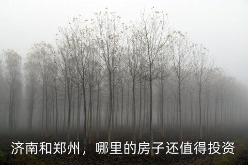 濟(jì)南和鄭州，哪里的房子還值得投資