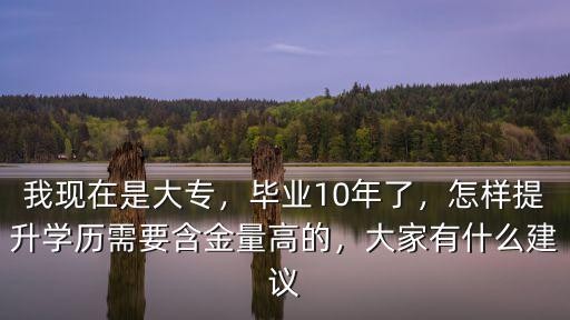 我現在是大專，畢業10年了，怎樣提升學歷需要含金量高的，大家有什么建議