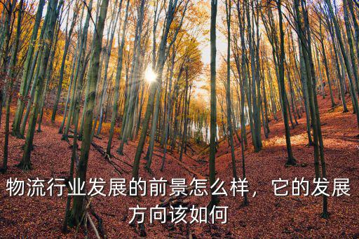 湖北捷世通物流怎么樣,今年物流行業怎么樣