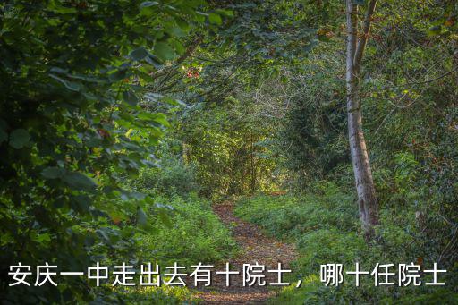 安慶一中走出去有十院士，哪十任院士