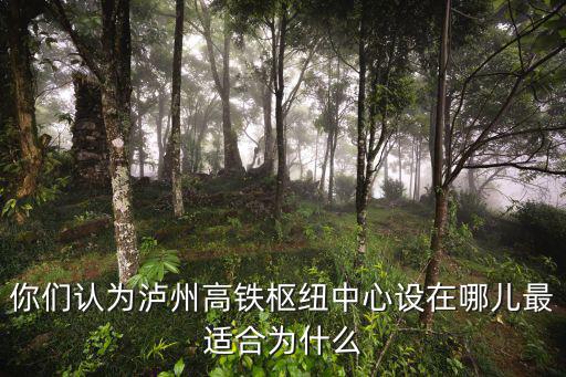 高鐵瀘州南站設置在合江哪里,將會建在哪里