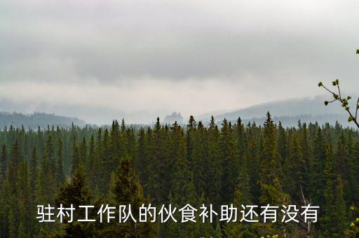 河北駐村工作隊補貼多少,駐村工作隊經費最高多少