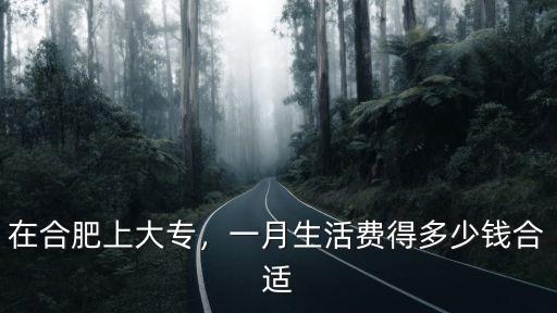 在合肥上大專，一月生活費得多少錢合適