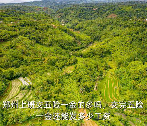 鄭州上班交五險一金的多嗎，交完五險一金還能發多少工資