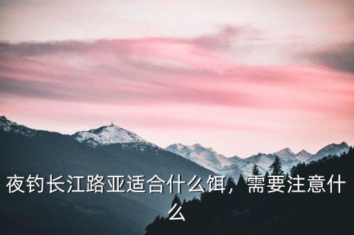 夜釣長江路亞適合什么餌，需要注意什么