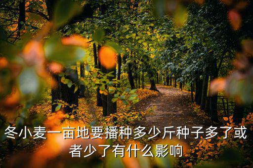 河南小麥播種多少斤最好,河南地區怎么選小麥種子