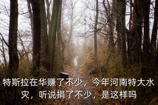 特斯拉在華賺了不少，今年河南特大水災，聽說捐了不少，是這樣嗎