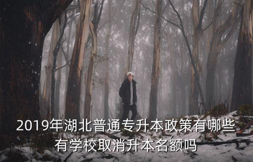 湖北怎么專升本,湖北大一專科生