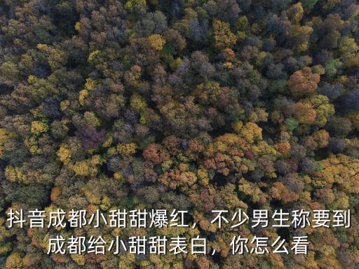 抖音成都小甜甜爆紅，不少男生稱要到成都給小甜甜表白，你怎么看