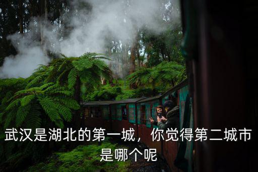 武漢是湖北的第一城，你覺(jué)得第二城市是哪個(gè)呢
