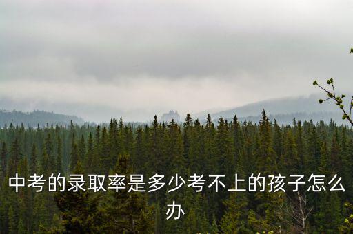 中考的錄取率是多少考不上的孩子怎么辦