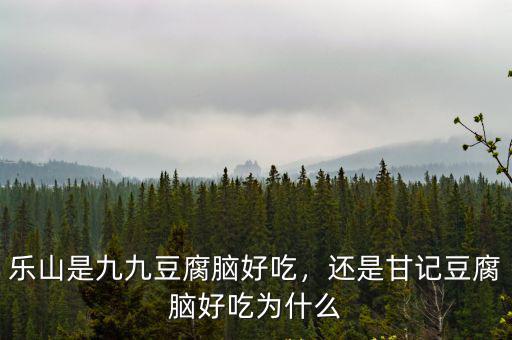 到樂山去哪里吃豆腐腦,樂山是九九豆腐腦好吃