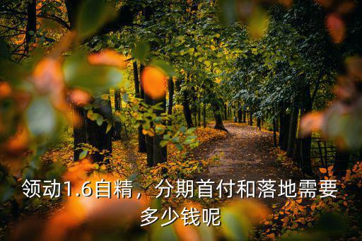 宿州領動分期現在優惠多少,目前優惠多少