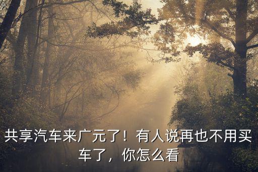 共享汽車來廣元了！有人說再也不用買車了，你怎么看