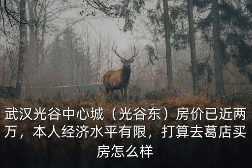武漢光谷中心城（光谷東）房價已近兩萬，本人經濟水平有限，打算去葛店買房怎么樣