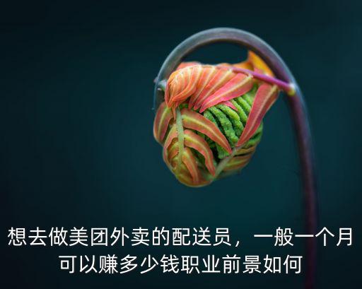 想去做美團外賣的配送員，一般一個月可以賺多少錢職業(yè)前景如何