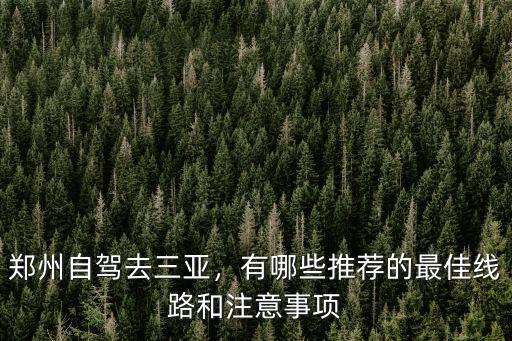 鄭州自駕去三亞，有哪些推薦的最佳線路和注意事項(xiàng)