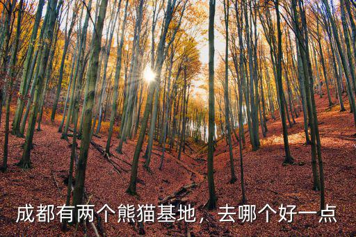 成都有兩個熊貓基地，去哪個好一點