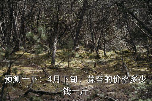 河北冷庫蒜苔多少錢一斤,蒜苔的價格多少錢一斤