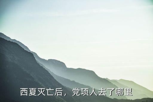 西夏滅亡后，黨項人去了哪里