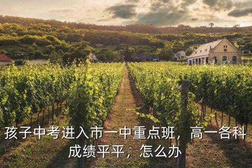 孩子中考進(jìn)入市一中重點(diǎn)班，高一各科成績平平，怎么辦
