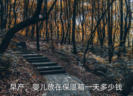承德婦幼保溫箱一天多少錢,嬰兒放在保溫箱一天多少錢