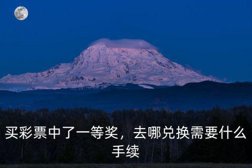 買彩票中了一等獎，去哪兌換需要什么手續(xù)