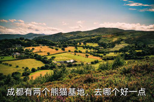 成都大熊貓基地景在哪里呢,成都大熊貓基地