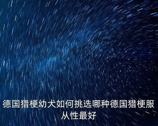 成都哪里有德國獵梗犬賣,德國獵梗幼犬如何挑選