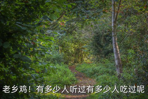 安徽有多少個老鄉雞,安徽兩大快餐企業老鄉雞