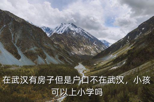 在武漢有房子但是戶口不在武漢，小孩可以上小學(xué)嗎