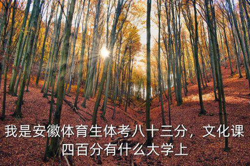 安徽體考文化課要多少分,文化課四百分有什么大學上