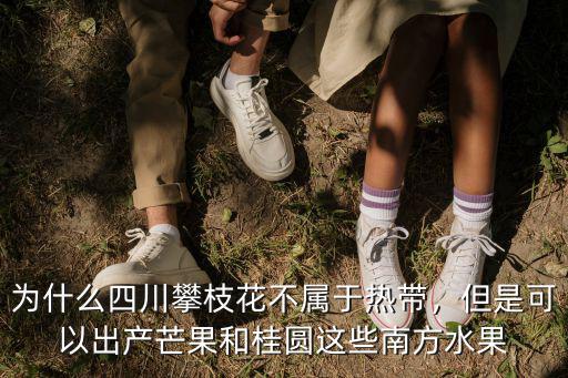 攀枝花哪里買芒果合適,攀枝花三個地方哪里的芒果好