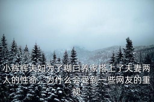 小輝輝夫婦為了糊口養家搭上了夫妻兩人的性命，為什么會受到一些網友的重視