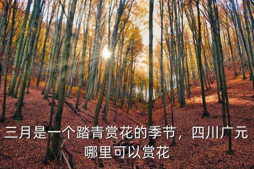 三月是一個踏青賞花的季節，四川廣元哪里可以賞花