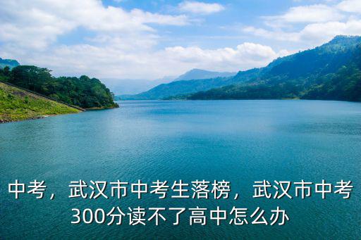 武漢市中考考160分怎么辦,武漢市中考生落榜
