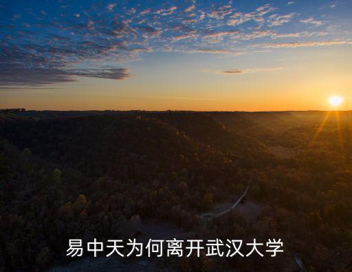 四七美學武漢大學怎么,易中天為何離開武漢大學