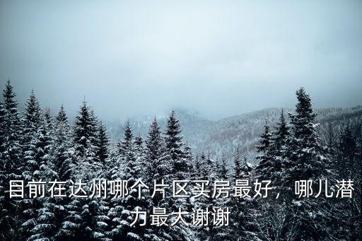 目前在達(dá)州哪個片區(qū)買房最好，哪兒潛力最大謝謝