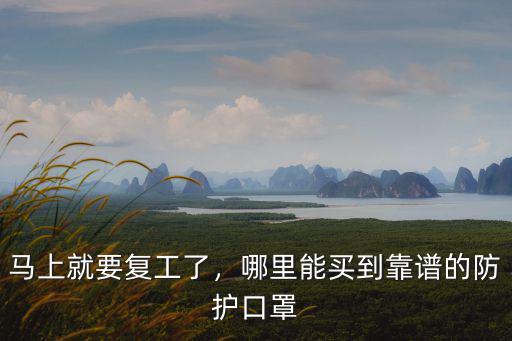 涼山單位復(fù)工哪里買口罩,哪里能買到靠譜的防護口罩