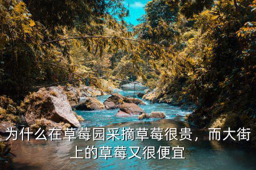 廣安草莓園采摘在哪里,為什么在草莓園采摘草莓很貴