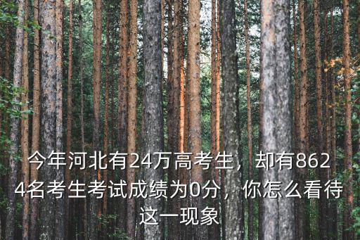 今年河北有多少大學考生,今年河北有24萬高考生